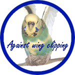 Against wing clipping - The campaign